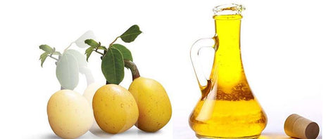 What You Need to Know About Marula Oil